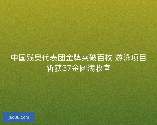 中国残奥代表团金牌突破百枚 游泳项目斩获37金圆满收官